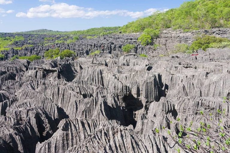 Ankarana Nationalpark – Ein Naturwunder im Norden Madagaskars