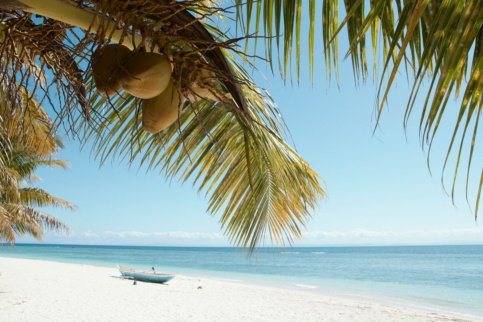Palmenblätter und Kokosnüsse über einem hellen Strand und türkisfarbenem Meer auf Madagaskar