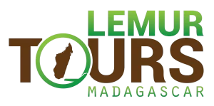 Lemur Tours Madagascar